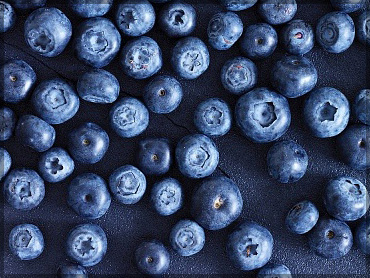 Fresh berries - Black huckleberry